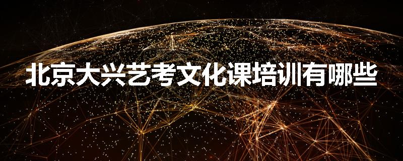 北京大兴艺考文化课培训有哪些