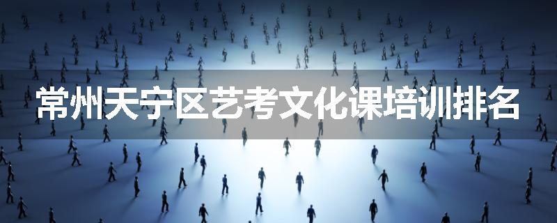常州天宁区艺考文化课培训排名
