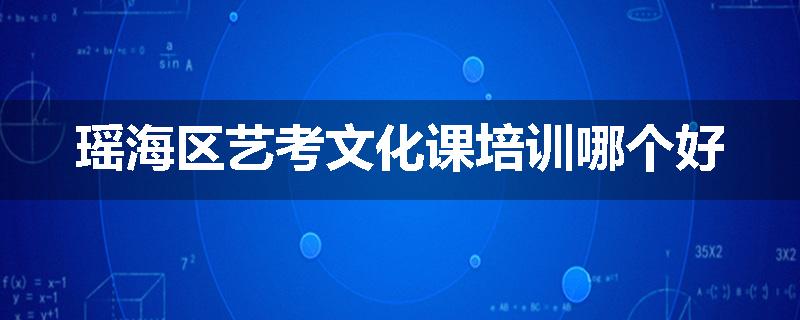 瑶海区艺考文化课培训哪个好