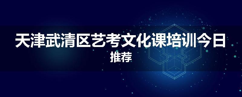 天津武清区艺考文化课培训今日推荐