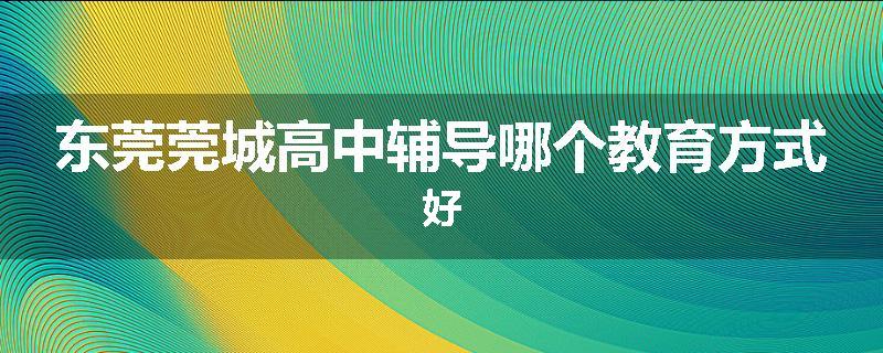 东莞莞城高中辅导哪个教育方式好