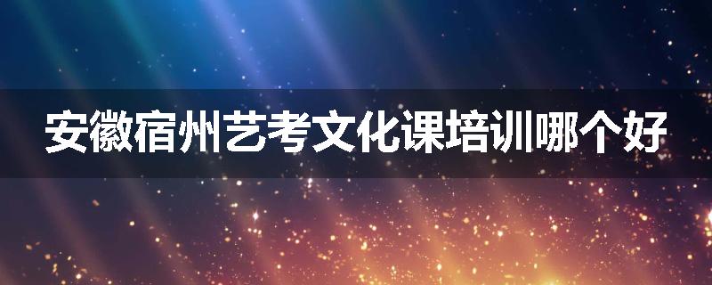 安徽宿州艺考文化课培训哪个好