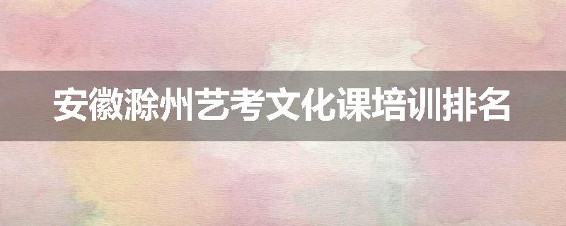 安徽滁州艺考文化课培训排名