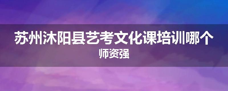 苏州沐阳县艺考文化课培训哪个师资强