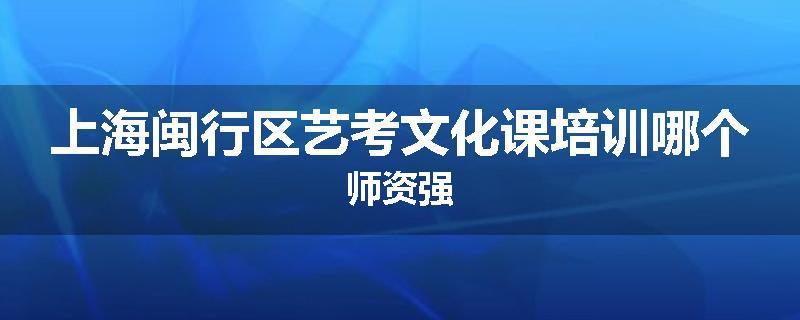 上海闽行区艺考文化课培训哪个师资强