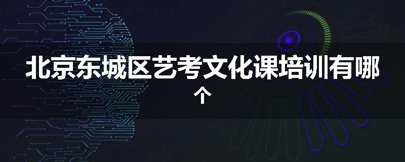 北京东城区艺考文化课培训有哪个