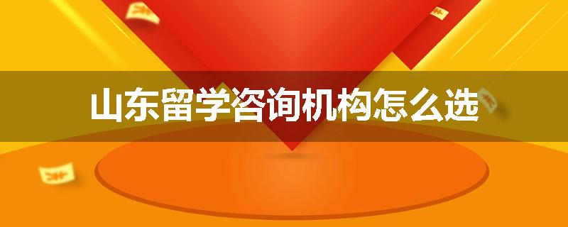 山东留学咨询机构怎么选