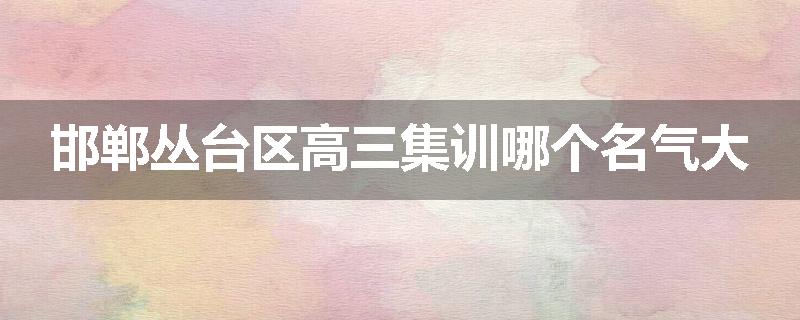 邯郸丛台区高三集训哪个名气大