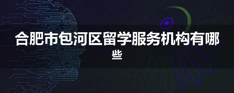 合肥市包河区留学服务机构有哪些