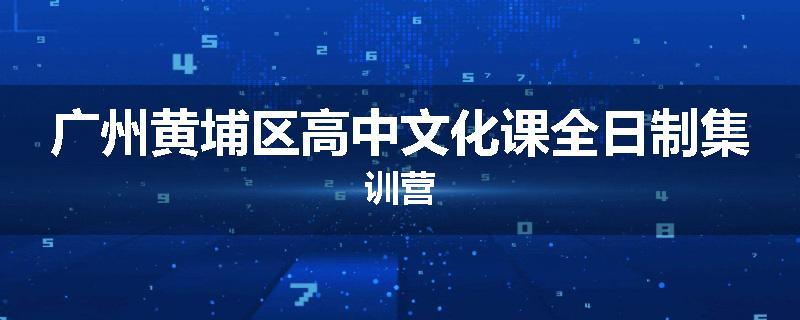 广州黄埔区高中文化课全日制集训营