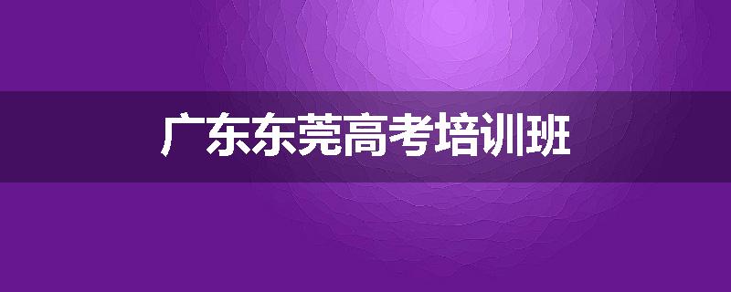 广东东莞高考培训班