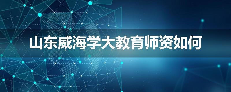 山东威海学大教育师资如何