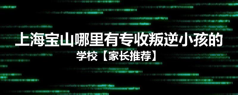 上海宝山哪里有专收叛逆小孩的学校【家长推荐】