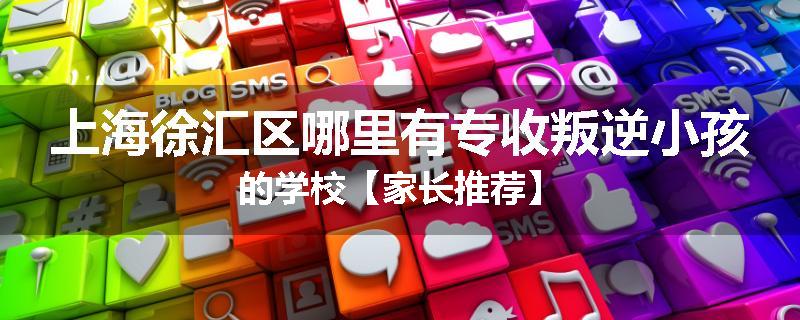 上海徐汇区哪里有专收叛逆小孩的学校【家长推荐】