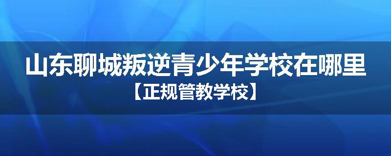 山东聊城叛逆青少年学校在哪里【正规管教学校】