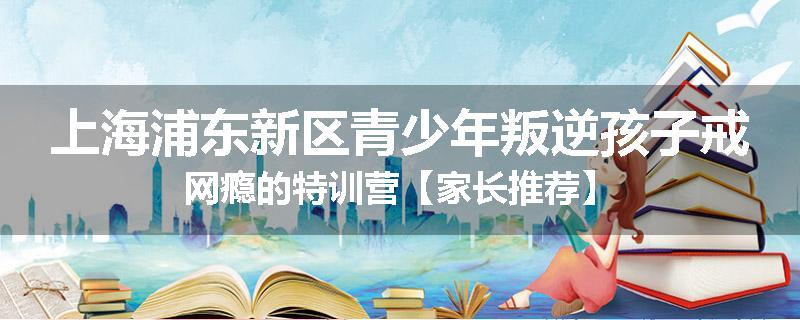 上海浦东新区青少年叛逆孩子戒网瘾的特训营【家长推荐】
