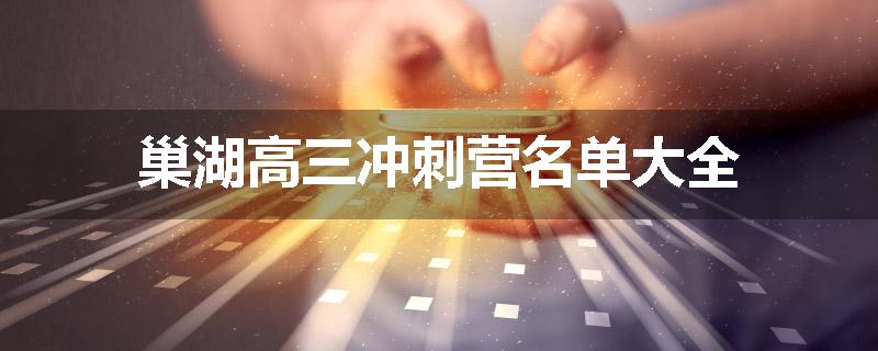 巢湖高三冲刺营名单大全