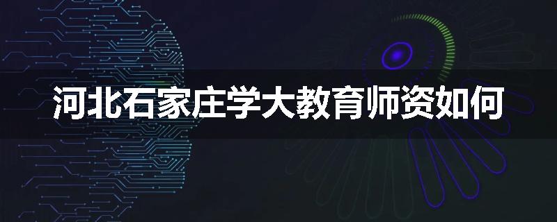 河北石家庄学大教育师资如何