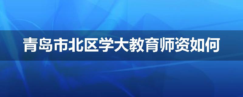 青岛市北区学大教育师资如何