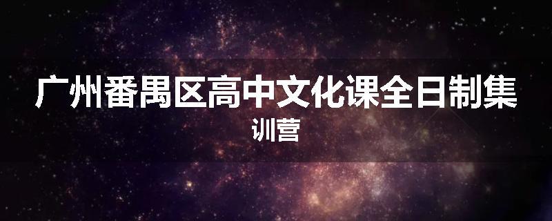 广州番禺区高中文化课全日制集训营