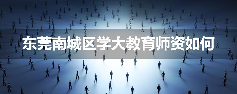 东莞南城区学大教育师资如何