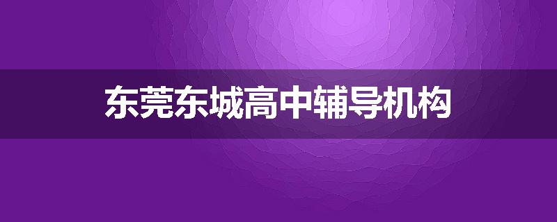 东莞东城高中辅导机构