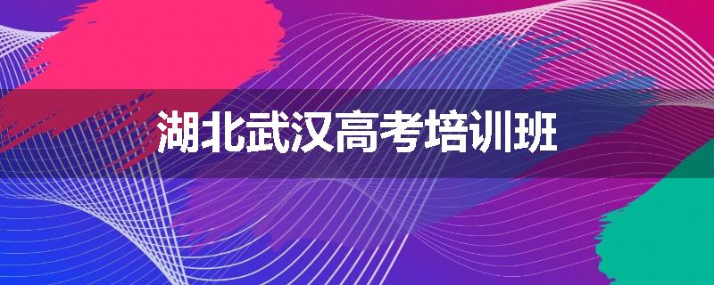 湖北武汉高考培训班