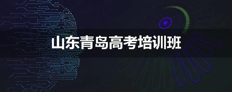 山东青岛高考培训班