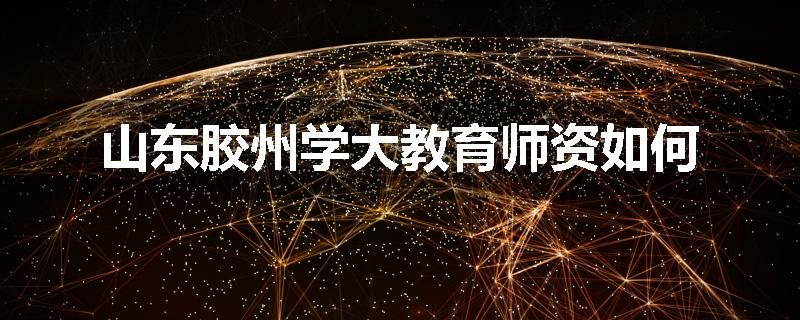 山东胶州学大教育师资如何