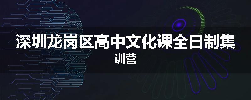 深圳龙岗区高中文化课全日制集训营