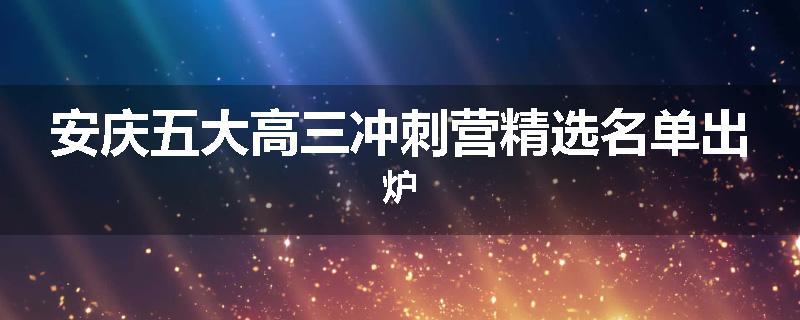 安庆五大高三冲刺营精选名单出炉