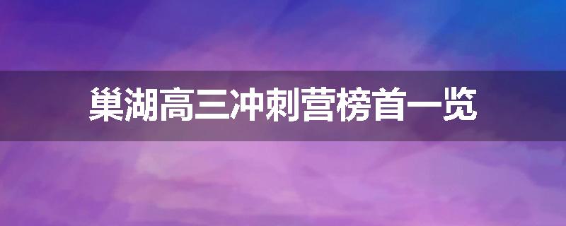 巢湖高三冲刺营榜首一览
