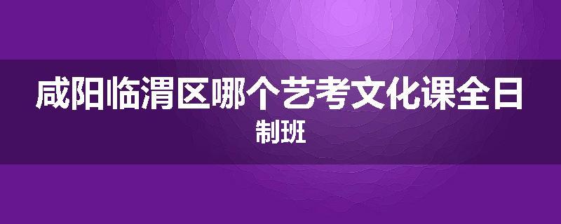 咸阳临渭区哪个艺考文化课全日制班