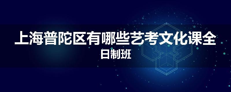 上海普陀区有哪些艺考文化课全日制班