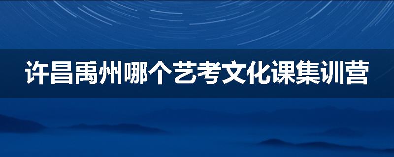 许昌禹州哪个艺考文化课集训营