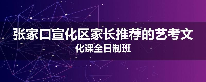 张家口宣化区家长推荐的艺考文化课全日制班