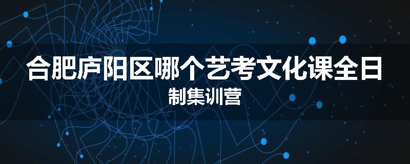 合肥庐阳区哪个艺考文化课全日制集训营