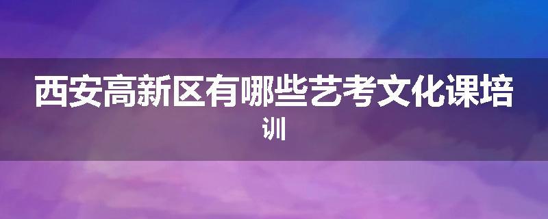 西安高新区有哪些艺考文化课培训