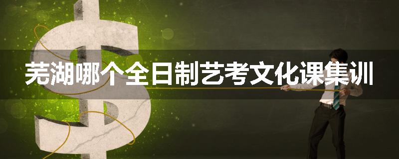 芜湖哪个全日制艺考文化课集训