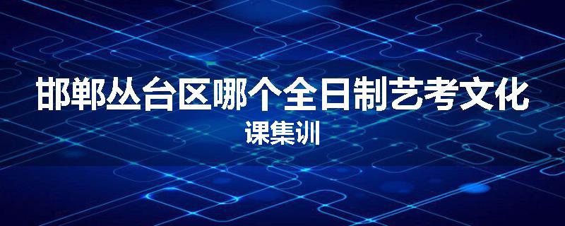 邯郸丛台区哪个全日制艺考文化课集训