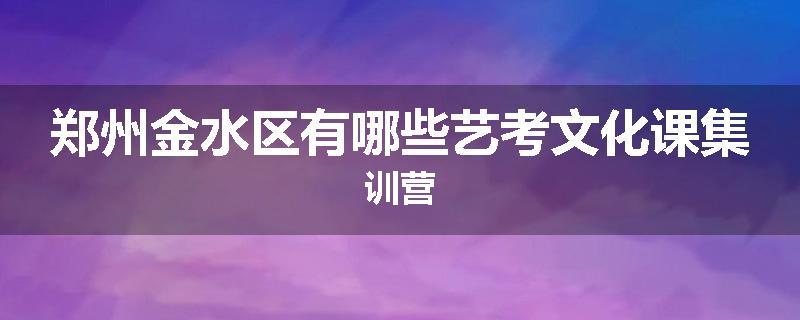 郑州金水区有哪些艺考文化课集训营