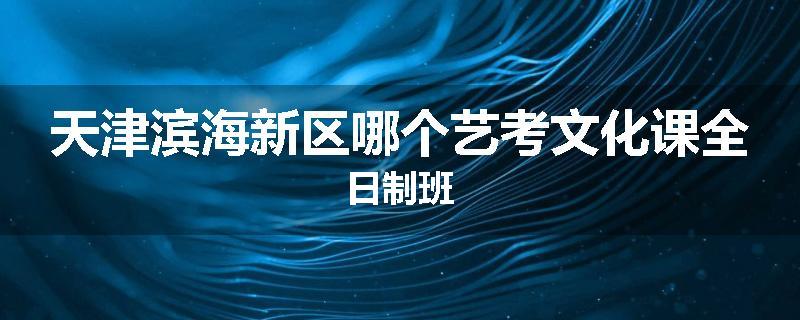 天津滨海新区哪个艺考文化课全日制班