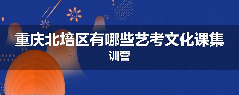 重庆北培区有哪些艺考文化课集训营