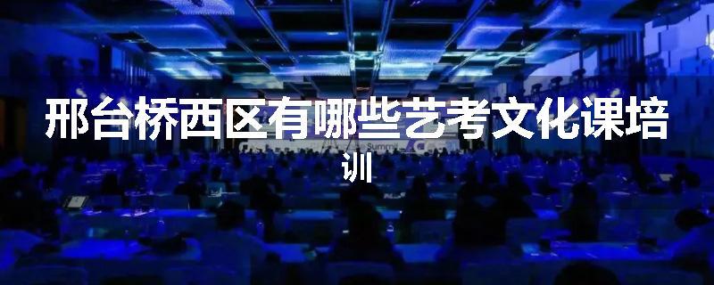 邢台桥西区有哪些艺考文化课培训