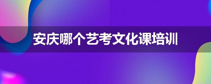 安庆哪个艺考文化课培训