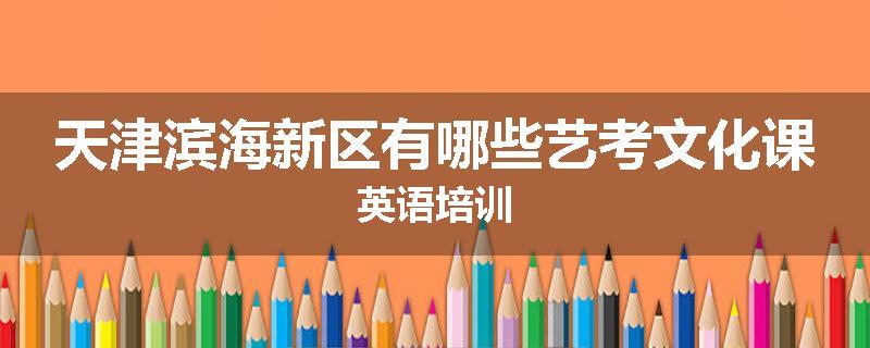 天津滨海新区有哪些艺考文化课英语培训
