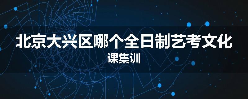北京大兴区哪个全日制艺考文化课集训
