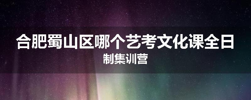 合肥蜀山区哪个艺考文化课全日制集训营