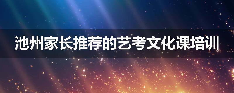 池州家长推荐的艺考文化课培训