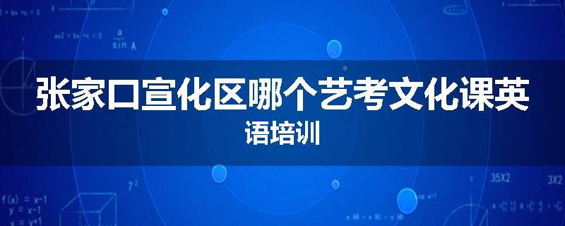张家口宣化区哪个艺考文化课英语培训